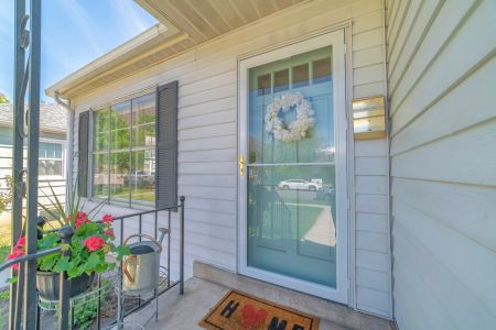 Storm doors